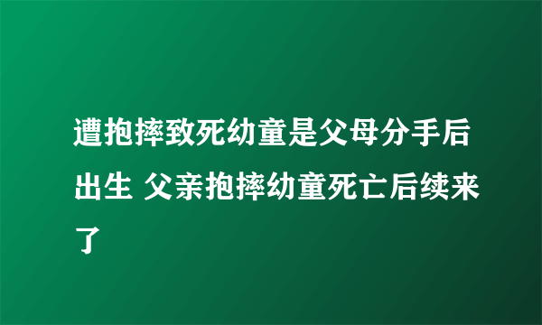 遭抱摔致死幼童是父母分手后出生 父亲抱摔幼童死亡后续来了