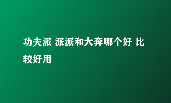 功夫派 派派和大奔哪个好 比较好用