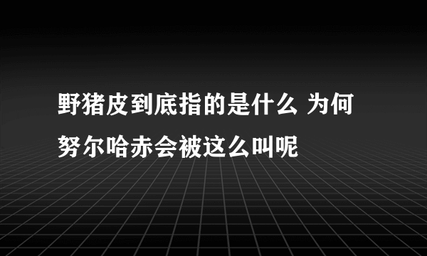 野猪皮到底指的是什么 为何努尔哈赤会被这么叫呢