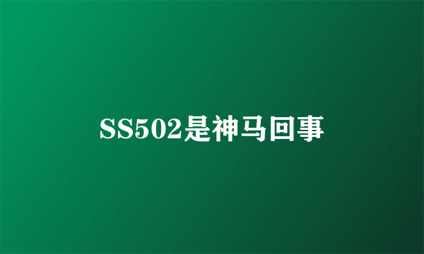 SS502是神马回事