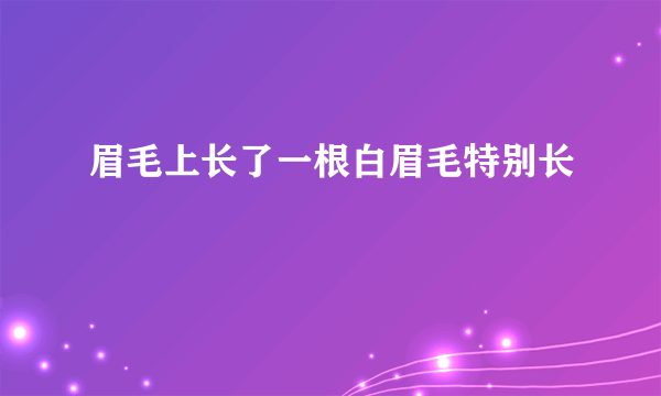 眉毛上长了一根白眉毛特别长