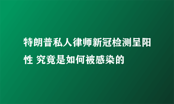 特朗普私人律师新冠检测呈阳性 究竟是如何被感染的