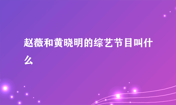 赵薇和黄晓明的综艺节目叫什么