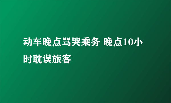 动车晚点骂哭乘务 晚点10小时耽误旅客