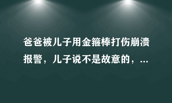 爸爸被儿子用金箍棒打伤崩溃报警，儿子说不是故意的，打哪了让人哭笑不得？