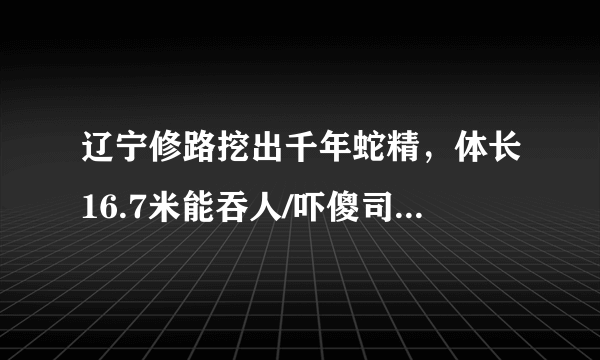 辽宁修路挖出千年蛇精，体长16.7米能吞人/吓傻司机(图片)-飞外网