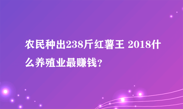 农民种出238斤红薯王 2018什么养殖业最赚钱？