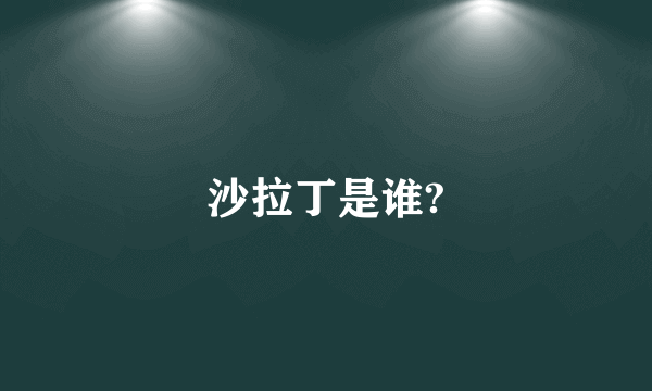 沙拉丁是谁?