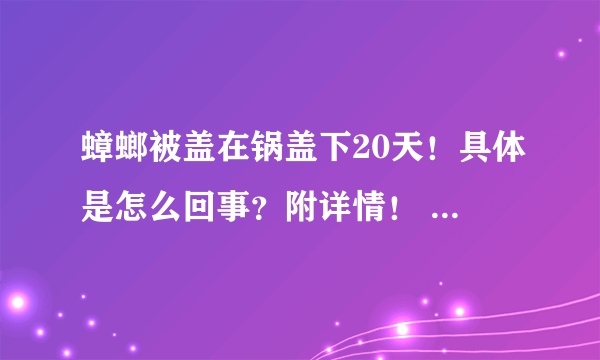 蟑螂被盖在锅盖下20天！具体是怎么回事？附详情！ - 飞外网