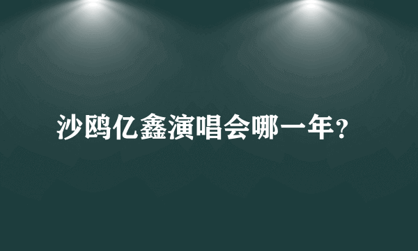 沙鸥亿鑫演唱会哪一年？