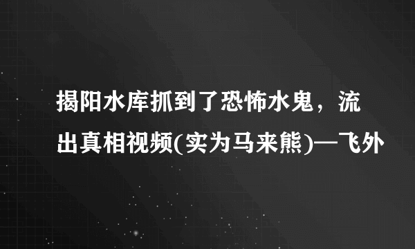 揭阳水库抓到了恐怖水鬼，流出真相视频(实为马来熊)—飞外