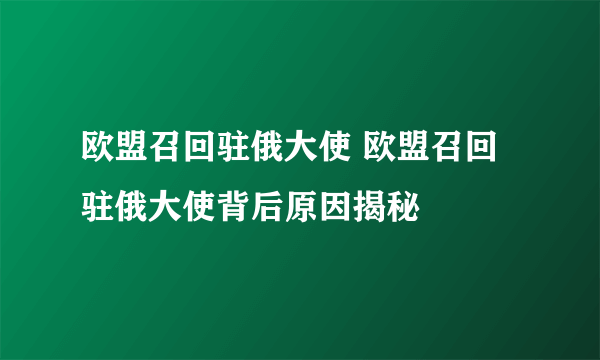 欧盟召回驻俄大使 欧盟召回驻俄大使背后原因揭秘