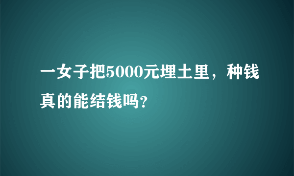 一女子把5000元埋土里，种钱真的能结钱吗？