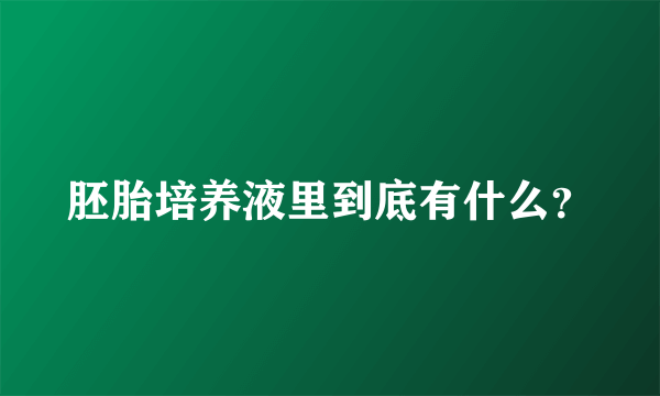 胚胎培养液里到底有什么？