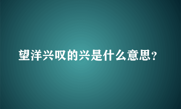 望洋兴叹的兴是什么意思？