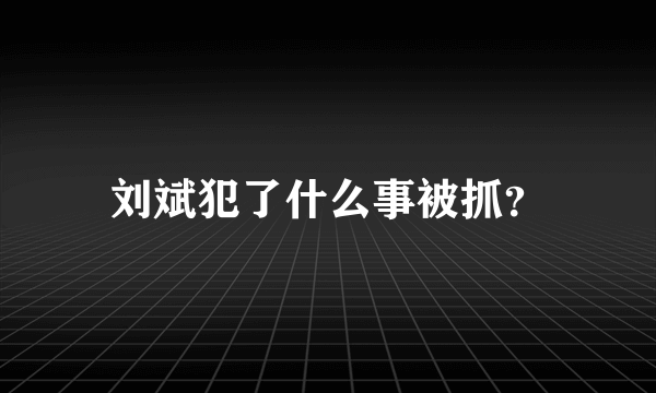 刘斌犯了什么事被抓？