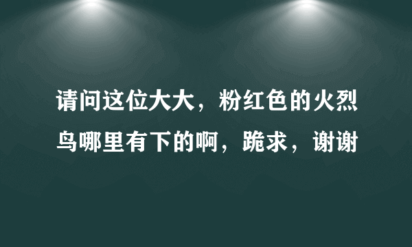 请问这位大大，粉红色的火烈鸟哪里有下的啊，跪求，谢谢