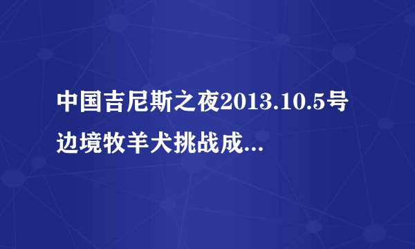 中国吉尼斯之夜2013.10.5号边境牧羊犬挑战成功时放的音乐是什么