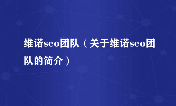 维诺seo团队（关于维诺seo团队的简介）