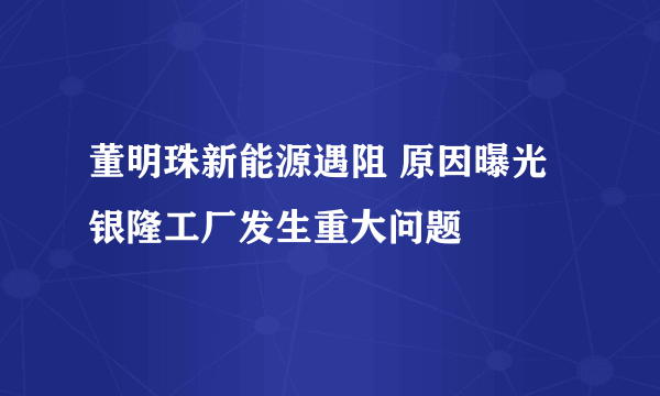 董明珠新能源遇阻 原因曝光银隆工厂发生重大问题