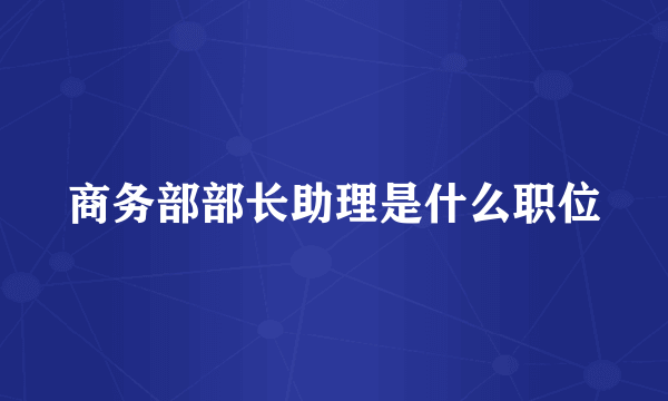 商务部部长助理是什么职位