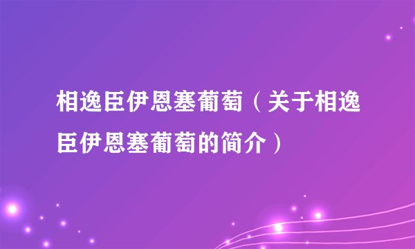 相逸臣伊恩塞葡萄（关于相逸臣伊恩塞葡萄的简介）