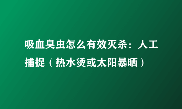 吸血臭虫怎么有效灭杀：人工捕捉（热水烫或太阳暴晒）