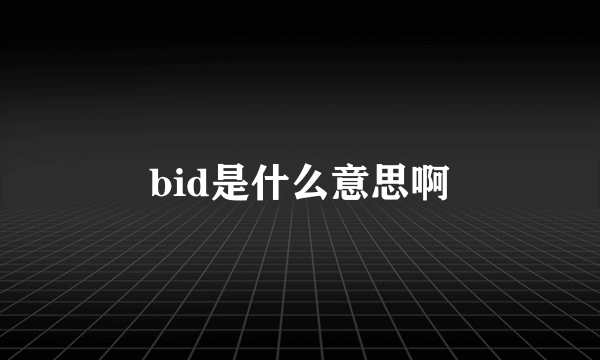 bid是什么意思啊