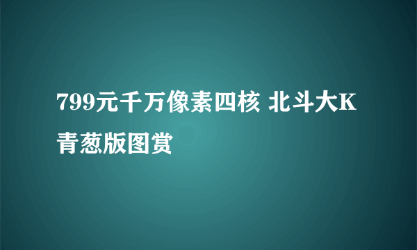 799元千万像素四核 北斗大K青葱版图赏