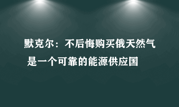 默克尔：不后悔购买俄天然气 是一个可靠的能源供应国