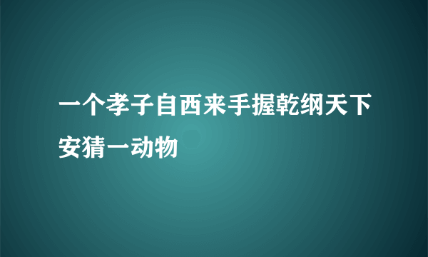 一个孝子自西来手握乾纲天下安猜一动物