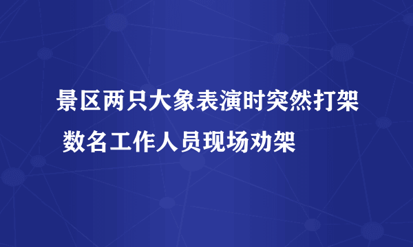 景区两只大象表演时突然打架 数名工作人员现场劝架