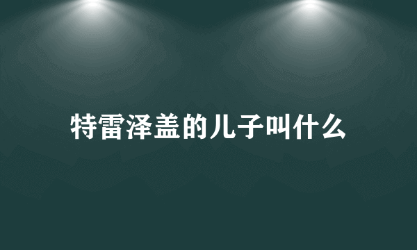 特雷泽盖的儿子叫什么