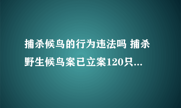 捕杀候鸟的行为违法吗 捕杀野生候鸟案已立案120只珍稀候鸟获新生_飞外网