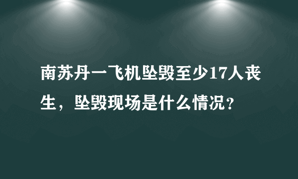 南苏丹一飞机坠毁至少17人丧生，坠毁现场是什么情况？