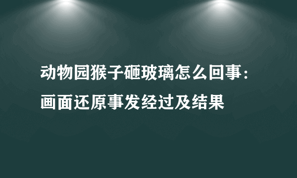 动物园猴子砸玻璃怎么回事：画面还原事发经过及结果