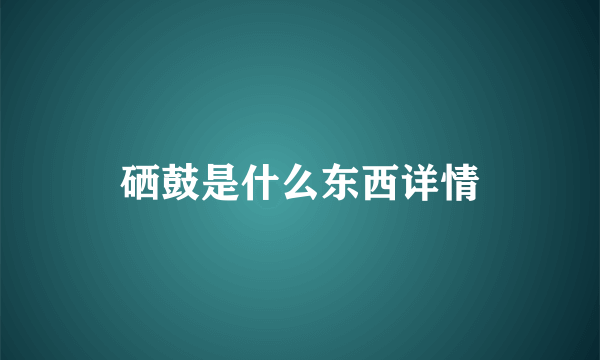 硒鼓是什么东西详情