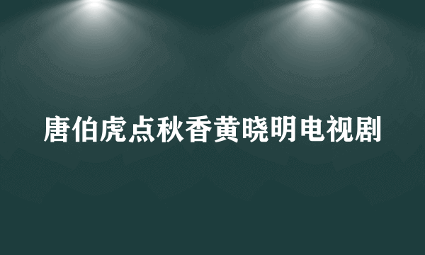 唐伯虎点秋香黄晓明电视剧