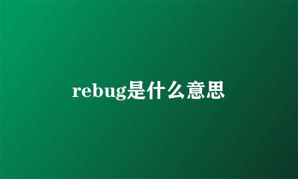 rebug是什么意思