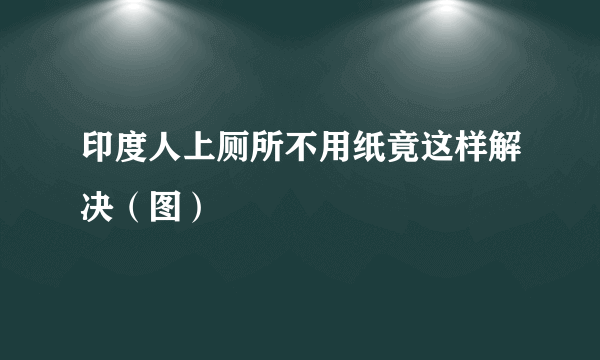 印度人上厕所不用纸竟这样解决（图）