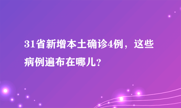 31省新增本土确诊4例，这些病例遍布在哪儿？