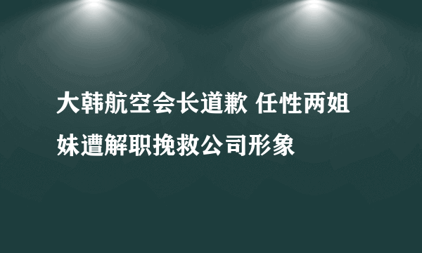 大韩航空会长道歉 任性两姐妹遭解职挽救公司形象