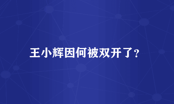 王小辉因何被双开了？