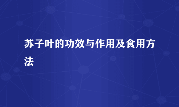 苏子叶的功效与作用及食用方法