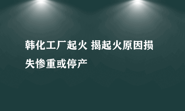 韩化工厂起火 揭起火原因损失惨重或停产