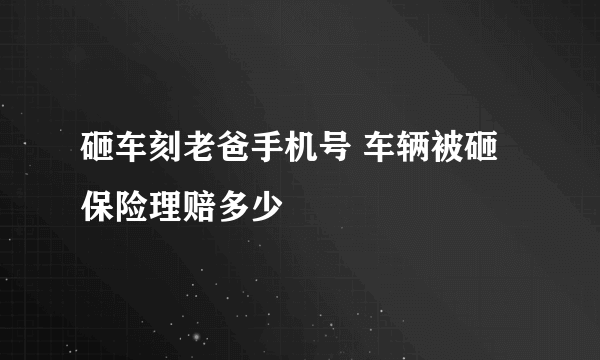 砸车刻老爸手机号 车辆被砸保险理赔多少