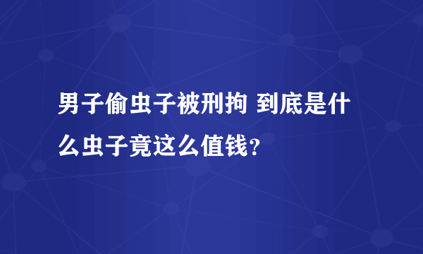 男子偷虫子被刑拘 到底是什么虫子竟这么值钱？