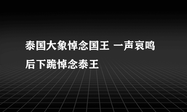 泰国大象悼念国王 一声哀鸣后下跪悼念泰王