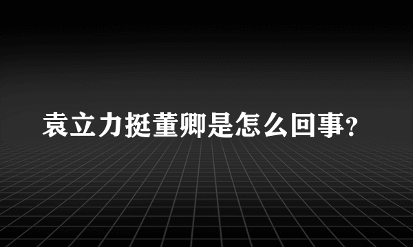 袁立力挺董卿是怎么回事？