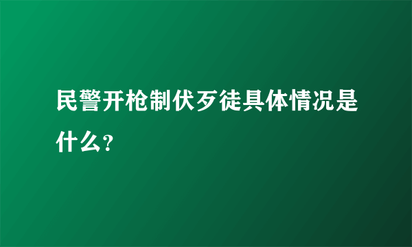 民警开枪制伏歹徒具体情况是什么？